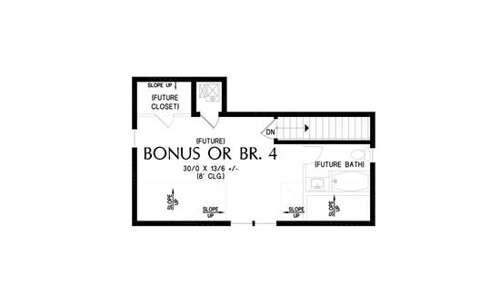 Reversed Bonus Floor Plan