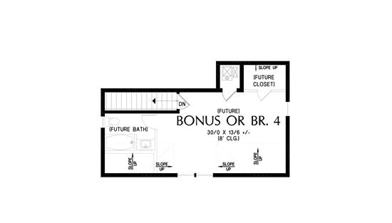 Bonus Floor Plan