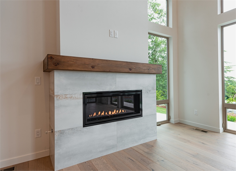Fireplace image of Contemporary 201 House Plan
