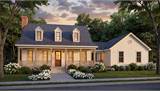 Savannah Rendering