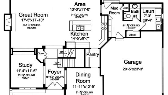 1st Floor
